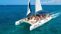 Saona Island Full Day Excursion from Punta Cana