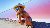  Las Coloradas and Explore Río Lagartos from Cancun