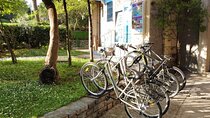 Rent Bicycle in Kotor 