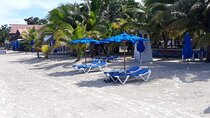Negril 7 Miles Beach and Rick's Cafe Tour 