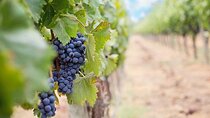Winery and Pamukkale Sunset Tour