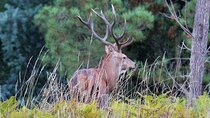 Discovering Nature in Serra da Lousã