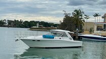Private Yacht Tours To Isla Saona, Natural Pool Palmilla And Snorkeling.