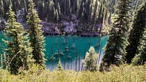 Kolsai / Kaindy Lake / Charyn Canyon one-day tour (choose 2 of the 3 sights)