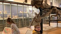 Washington DC Museum of Natural History Private Family tour