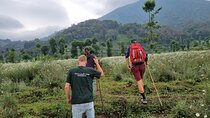 Full day Mt. Bisoke hike 