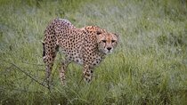 7-Day Tanzania Odyssey Safari- High End Tour