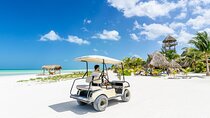 ECO-Adventure at Holbox Island and Cenote Yalahau from Cancun & Playa Del Carmen
