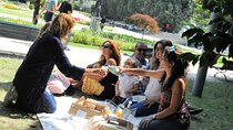 Porto Walking Tour with picnic
