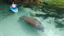 Nature & Island Exploration on SUP/Kayak