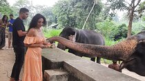 Guided round tour in srilanka 