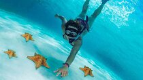 Cozumel Cielo Snorkel Adventure from Cancun and Rivera Maya