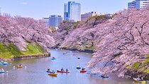 Tokyo Self-Guided Audio Tour