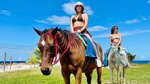 Birthday Celebration Experience in Jamaica + Transportation 
