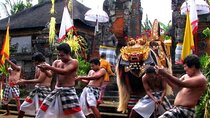 Bali Sightseeing 