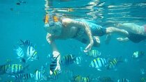 Blue Lagoon Snorkeling Kanto Lampo and Tegenungan Waterfall Tour