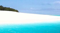 Mnemba Dolphin Tour; Stone Town Tour; Spice Tour with Lunch
