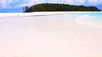 Mnemba Island Tour; Secret Garden Restaurant; Stone Town; The Rock Restaurant