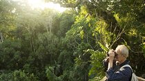 Cuc Phuong National Park Private Day Tour: Trekking & Primates 