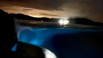 Bioluminescence Tour by Boat