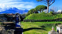 Private transfer from Naples to Pompeii or viceversa