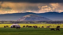 7-Days Central Mongolia Tour and Ancient city in Kharkhorin