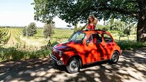 2-Hour Private Tour with Photo Shoot in 500 to Bolgheri
