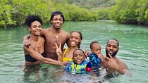 Caribbean Day Tour : Big Island, Mamey, Monkey Island & Portobelo