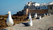 Essaouira Day Trip from Marrakech