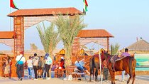 Dubai Premium Desert Safari 4x4 With BBQ Dinner