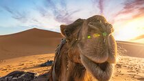 3 Days Desert Tour from Fes to Marrakech via Merzouga