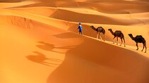 trip of your dreams in 3 days and 2 nights in the desert