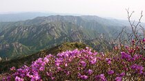 2 days Private Tour : Mt Seorak & Naksansa Temple & Nami Island 'from Seoul' 