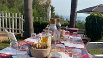Artisan Spanish Wine Tasting of 6 Wines