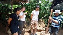Materuni waterfalls, coffee tour & Chemka (Kikuletwa) hot springs