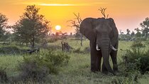 6 Days Safari Tour Tanzania with Serengeti