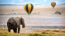 5-Day Safari Tour with Kilimanjaro day Hiking in Tanzania
