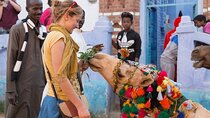 Nubian Village Day Tour in Aswan