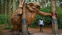 E-biking Northern Forgotten Giants' s Adventure