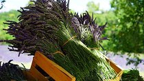 Lavender Tour from Pamukkale with drop off Denizli Airport