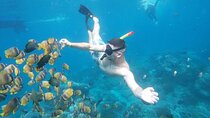Nusa Penida Snorkling Package