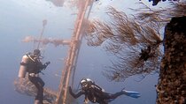Guided Scuba Diving Adventure in Aqaba