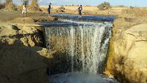 El-Fayoum Oasis & Wadi Al-Rayan Day Tour from Cairo