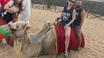 Private Desert Adventure –Dune Bashing, Dinner& Live Performances