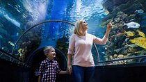 Aquaria KLCC E-Ticket With Transfer