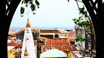 Stone Town Tour, Blue Lagoon, Starfish Adventure, The Rock Resturant, Kuza Cave