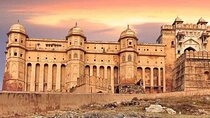 Private Guided Jaipur Tour: Amber Fort,City Palace, Water Palace 