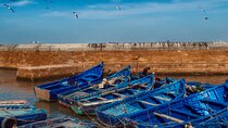 Day Trip to Essaouira