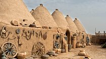 Private Göbeklitepe Tour from Istanbul by Plane
