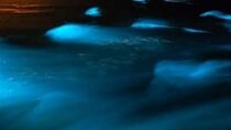 Luminous Lagoon Tour from Montego Bay (Private)